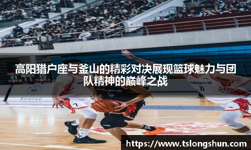 高阳猎户座与釜山的精彩对决展现篮球魅力与团队精神的巅峰之战